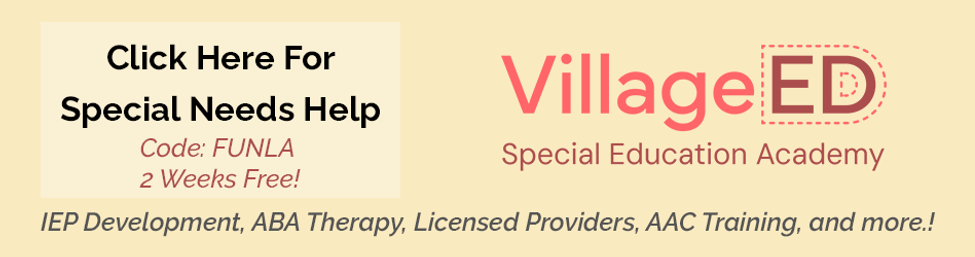 Banner Ad 970x250 VillageEd.png