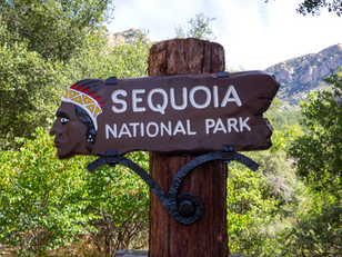 Ultimate Guide for Family Adventures in Sequoia National Park! 🌲🐻