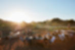 Families enjoying a farm-to-table dinner at SaddleRock Gardens near Los Angeles, surrounded by the scenic, family-friendly farm setting