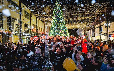 Official City of Santa Monica Holiday Tree Lighting