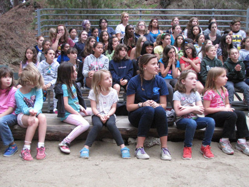 Camp Hollywoodland Summer Camps In La