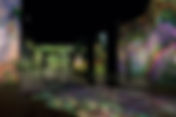 Claude Monet Immersive Experience