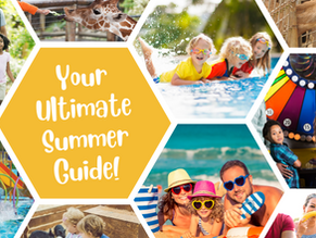 101+ Summer Activities to Do with Your Kids in Los Angeles! 🌞