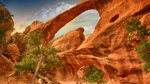 Exploring the Grand Canyon with Kids: A Family-Friendly Travel Guide!