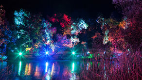 A Complete Guide to Enchanted Forest of Light At Descanso Gardens!