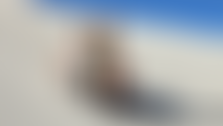 Sand Sledding in LA: An Exciting Family Adventure!