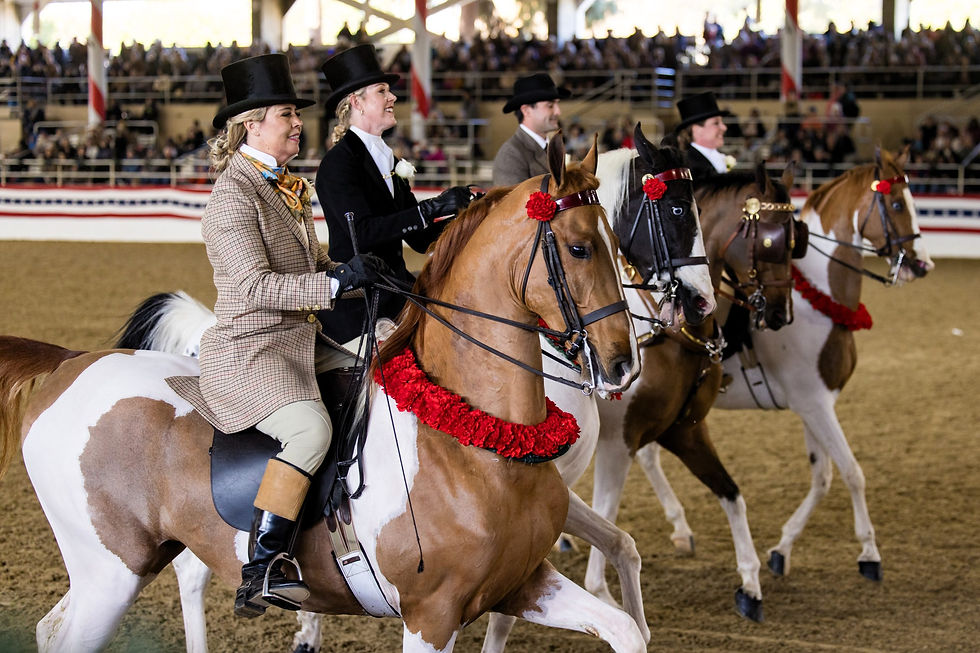 Equestfest