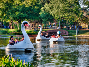 Swan Boat Rides: A Perfect Day at Echo Park Lake! 