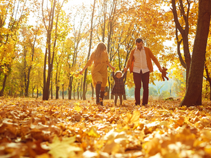 Best Places to See Fall Foliage Near Los Angeles!