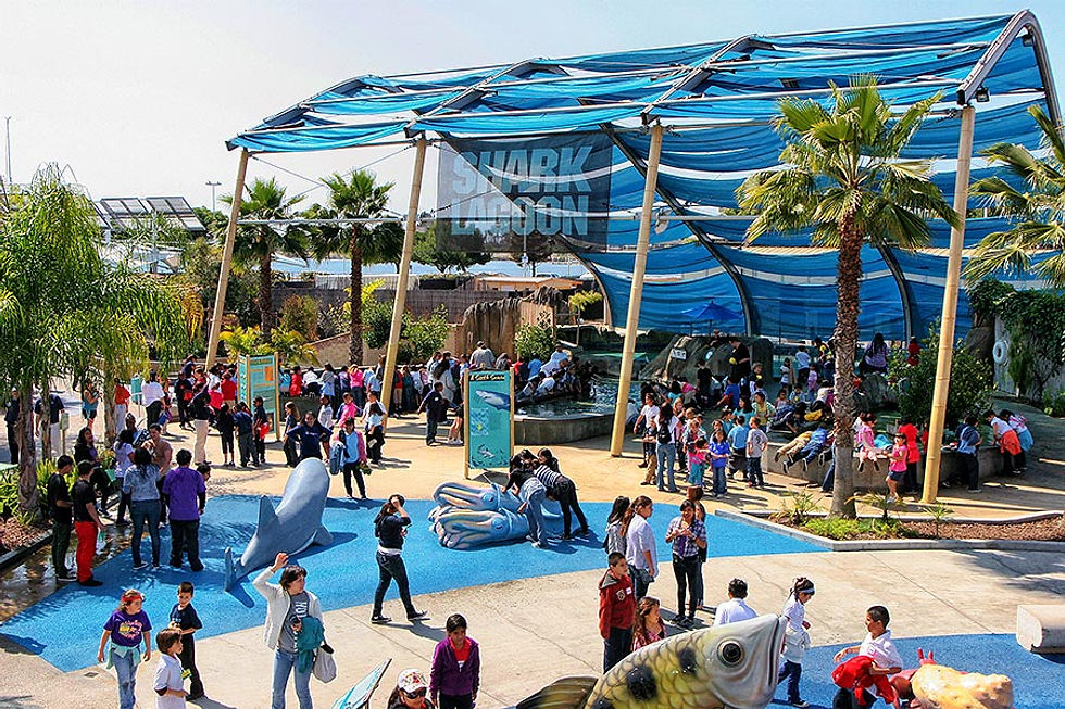 Shark Lagoon Night at Aquarium of the Pacific