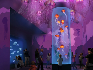 Dive into Excitement: New Experiences at SeaWorld San Diego! 