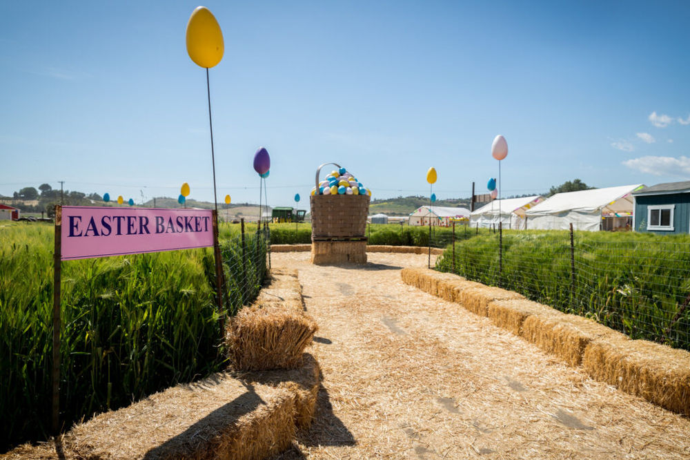 Easter Festival At Underwood Family Farms! FUN WITH KIDS IN LA®