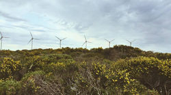 Bozcaada'da Bir Kamp Macerası