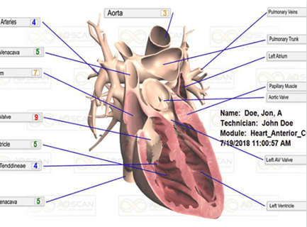 Screen Shot 2021-03-15 at 5.20.48 PM.png