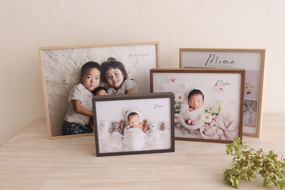 フォトプリントアイテム価格改定のお知らせ