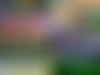 Mexico vs South Africa Tickets: Mexico Confirmed for FIFA World Cup Opener