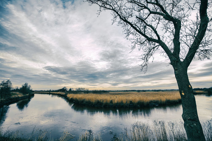 Norddeutsche Landschaft Wümmewiesen bei Bremen, weite Natur mit flacher Ebene unter einem großen Himmel, Kunstfotografie von Birgit Wingrat.