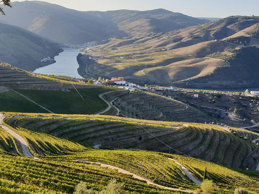 A Thoughtfully Designed Journey Through the Douro Valley in Portugal