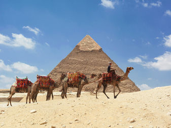Camels and their rider near a pyramid—classic Egypt in one stunning shot