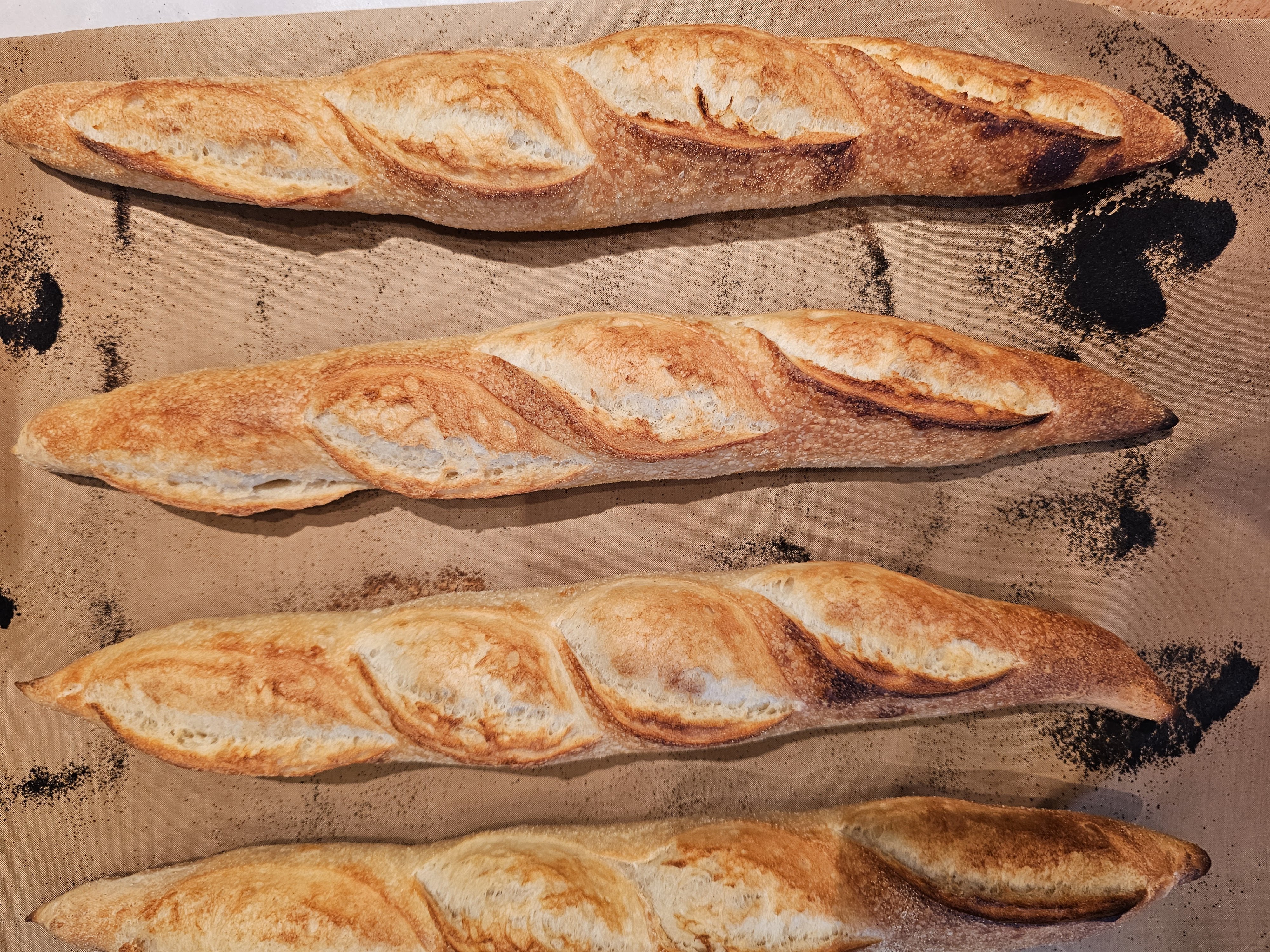 Fresh baked sourdough loaf cooling on a wooden board