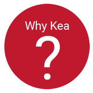 whykea-1.jpg
