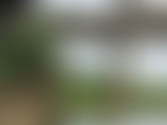 Alerta... para las personas que viajan de Santiago Tuxtla a Isla Veracruz