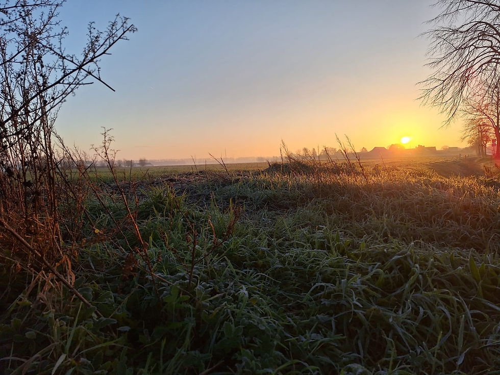 WhatsApp Image 2026-03-30 at 14.58.48.jpeg