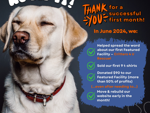 Our First Month of Supporting Local Dog Shelters & Selling Dog-Themed T-Shirts was a Success!