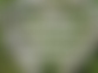 Day 25 (40-Day Affirmation Challenge)