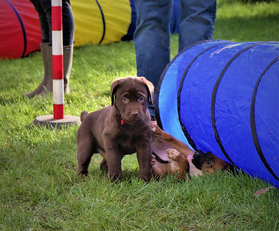 IMG_1028 (2)_edited.jpg