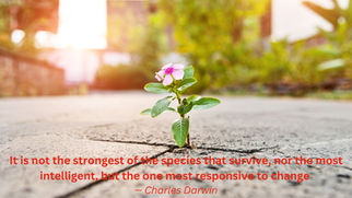 Embracing Antifragility: Turning Stress into Strength and Thriving Through Adversity