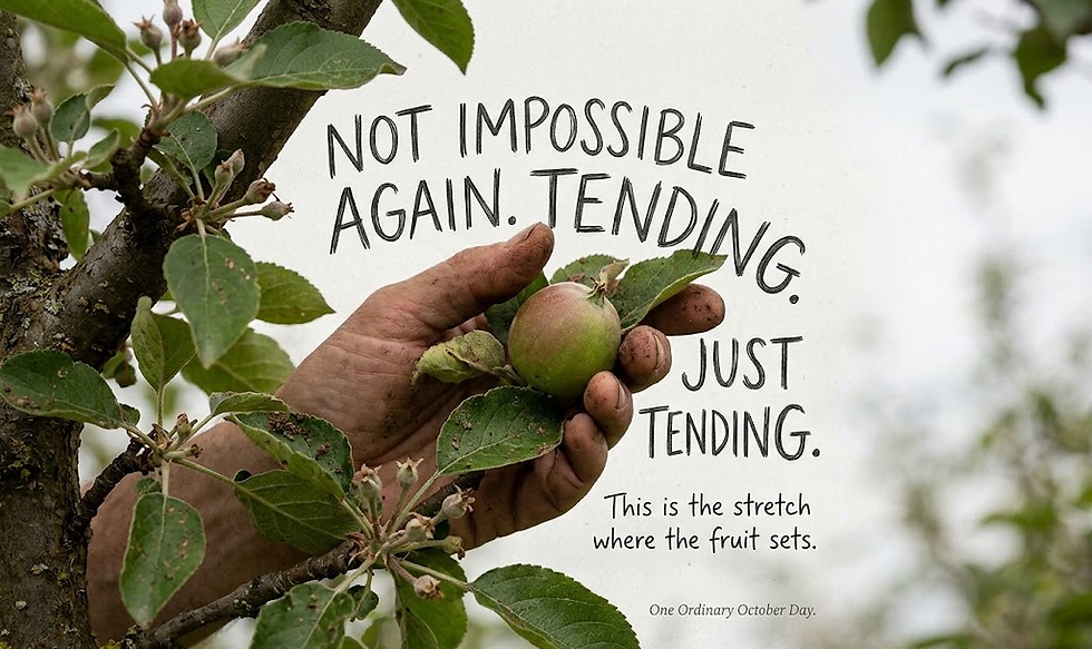The October Turn: When "Impossible" Becomes the Beginning of Harvest