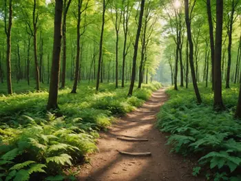 Unlocking Your Personal Growth Journey