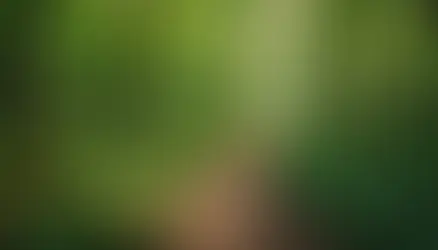 Unlocking Your Personal Growth Journey