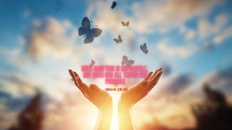 Embracing the Miracles: A Journey of Faith and Transformation in 2024