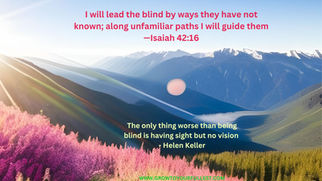 The only thing worse than being blind is having sight but no vision - Helen Keller