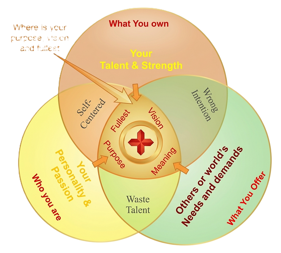 Your Signature Vision - Venn-Diagram 3.png