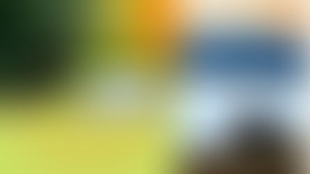 The Power of Inspiration: How to Unlock the Potential of Others