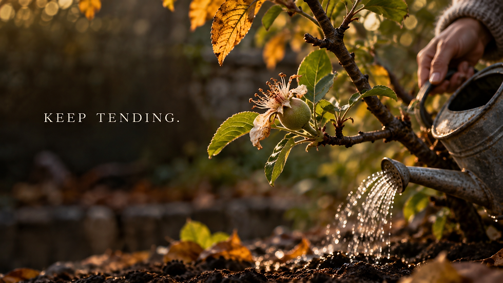 The October Turn: When "Impossible" Becomes the Beginning of Harvest