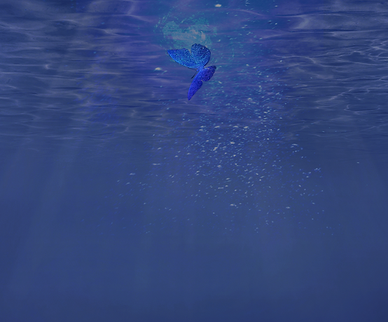 STORY_bg_03.png