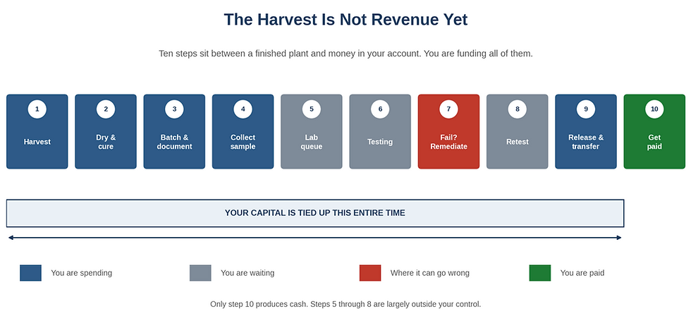Shows a graph with how much money growers pay on avgerage over the 18- month window