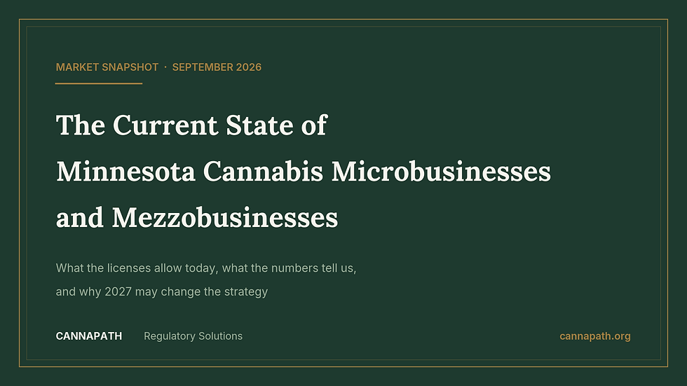 Title card says: The current state of Minnesota Cannabis Microbusiness and Mezzobusinesses