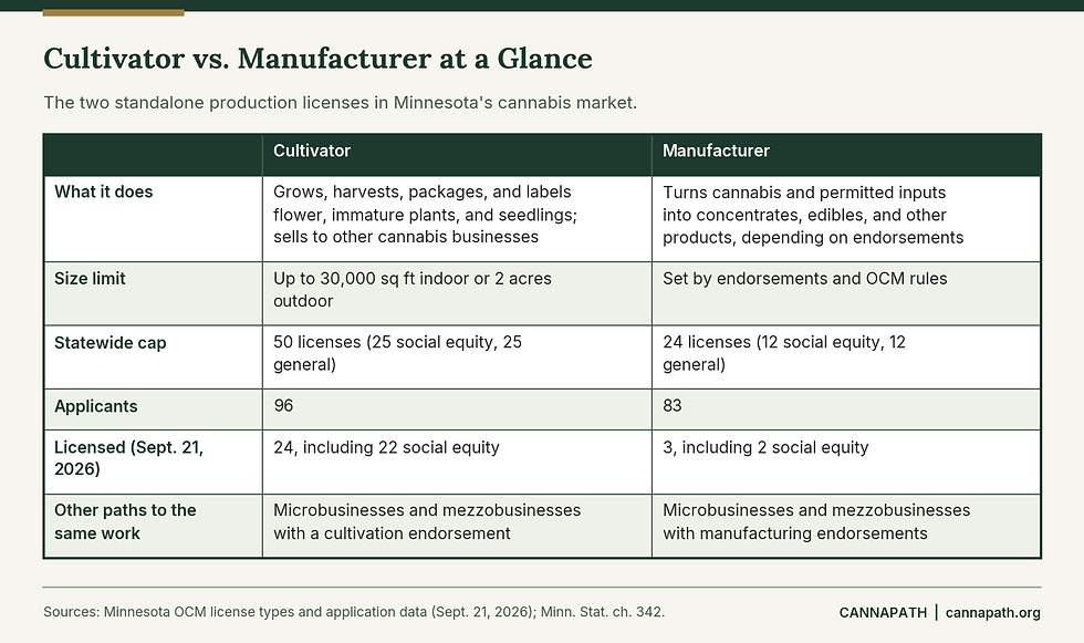Table comparing the Minnesota cannabis cultivator license and manufacturer license, including what each can do, license caps, and current status.