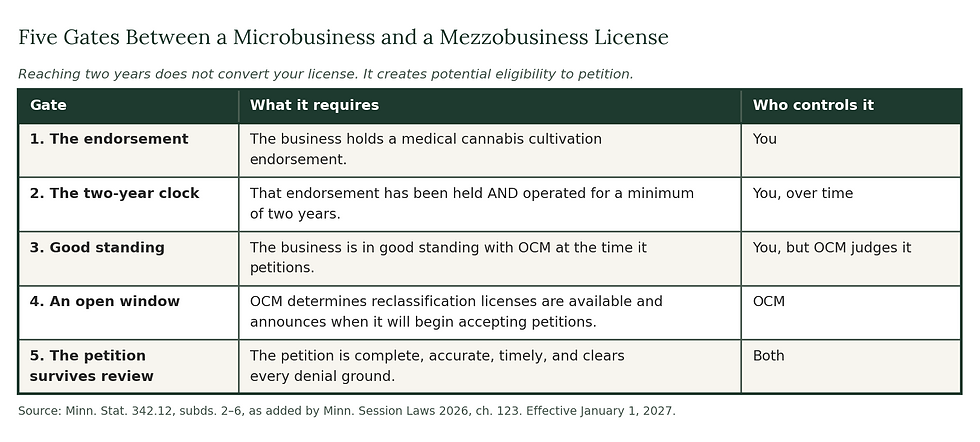 Table of the five gates between a Minnesota cannabis microbusiness and a mezzobusiness license, showing what each requires and whether the operator or OCM controls it