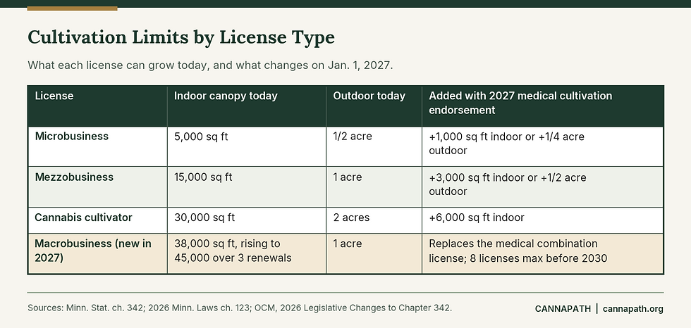 Table of Minnesota cannabis canopy limits for microbusinesses, mezzobusinesses, cultivators, and the new 2027 macrobusiness license, including medical endorsement additions.
