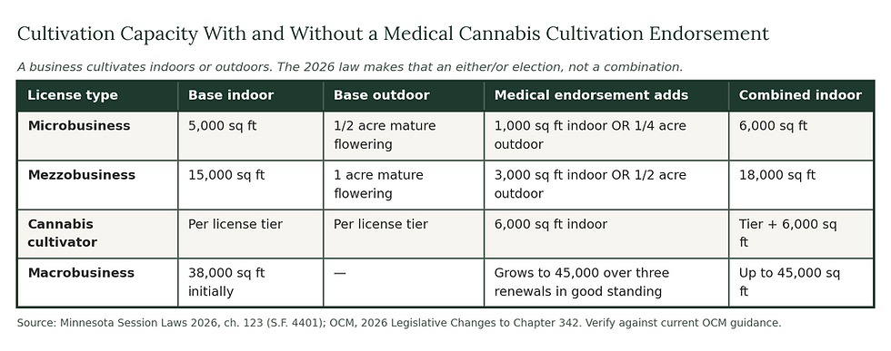 Table of Minnesota cannabis cultivation limits by license type, showing base canopy and the extra space added by a medical cannabis cultivation endorsement for microbusinesses, mezzobusinesses, cultivators and macrobusinesses