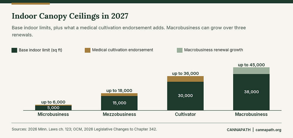 Bar chart of 2027 Minnesota indoor cannabis canopy limits by license type, showing medical cultivation endorsement additions and macrobusiness growth to 45,000 square feet.