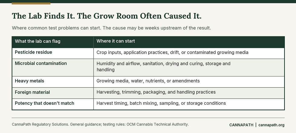 Table linking common cannabis lab test failures, such as pesticide residue and microbial contamination, to the cultivation stages where they often start.