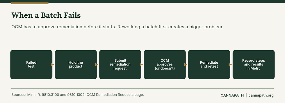 Flow diagram of the Minnesota process for a failed cannabis batch, from hold and remediation request to OCM approval, retest, and Metrc recording.