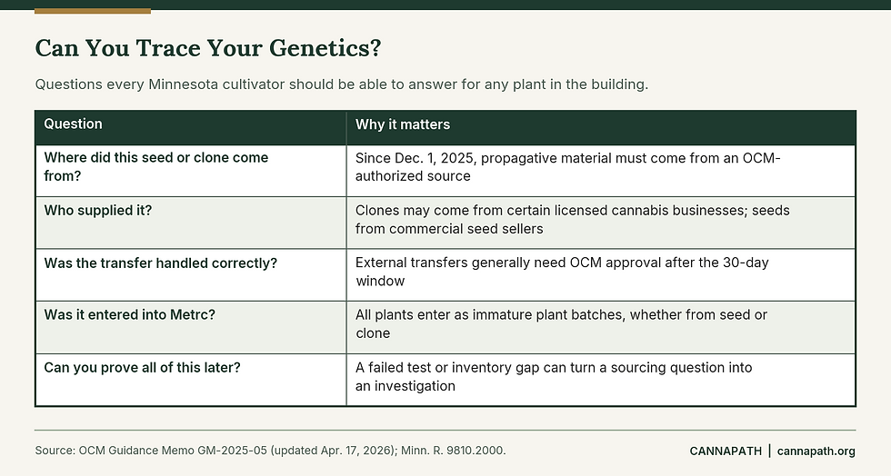 Table of cannabis genetics traceability questions Minnesota cultivators should be able to answer under OCM's authorized-source rules.